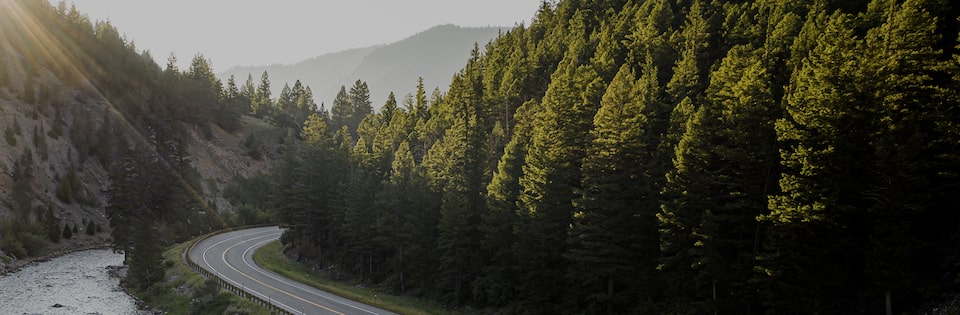 Birds-eye View of a Road Running Through a Green Forest Along a Winding River