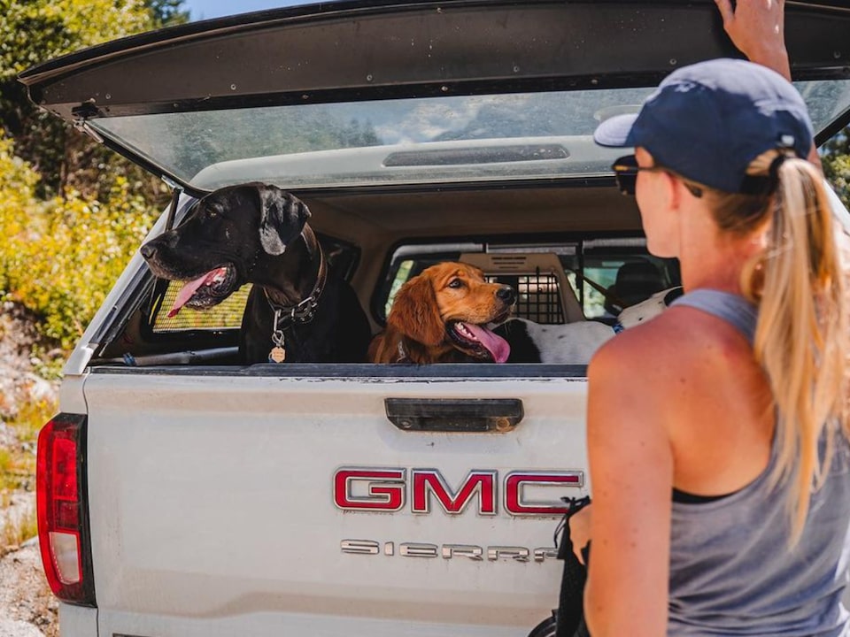 A Woman Helping Her Dogs into the Back of a GMC Sierra Truck